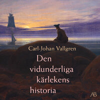 Den vidunderliga kärlekens historia - Carl-Johan Vallgren