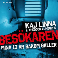 Besökaren : mina 13 år bakom galler - Kaj Linna, Theodor Lundgren