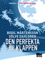 Den perfekta julklappen - Sölve Dahlgren, Bodil Mårtensson