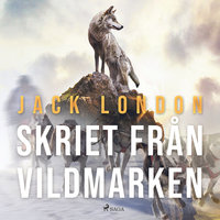 Skriet från vildmarken - Jack London