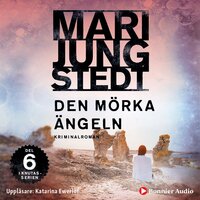 Den mörka ängeln - Mari Jungstedt