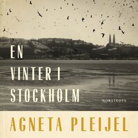 En vinter i Stockholm - Agneta Pleijel
