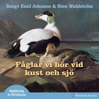 Fåglar vi hör vid kust och sjö - Bengt Emil Johnson, Sten Wahlström