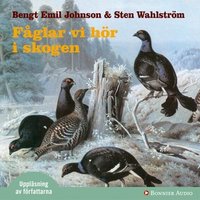 Fåglar vi hör i skogen : dygnet runt i skogen - Bengt Emil Johnson, Sten Wahlström