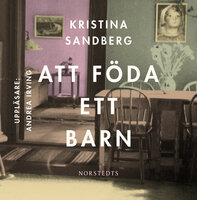 Att föda ett barn - Kristina Sandberg