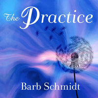 The Practice: Simple Tools for Managing Stress, Finding Inner Peace, and Uncovering Happiness - Barb Schmidt