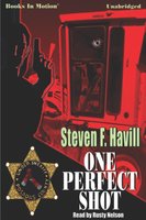 One Perfect Shot - Steven F. Havill