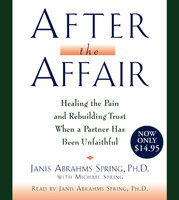 After the Affair - Janis A. Spring