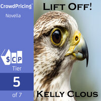 Lift Off! Falcon Edition - Kelly Clous