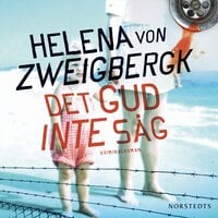 Det Gud inte såg - Helena von Zweigbergk
