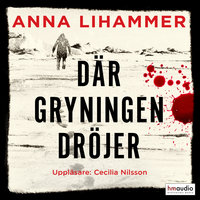 Där gryningen dröjer - Anna Lihammer