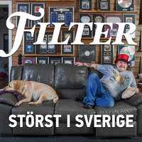 Störst i Sverige - Filter, Erik Eje Almqvist