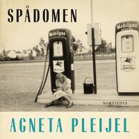 Spådomen : en flickas memoarer - Agneta Pleijel
