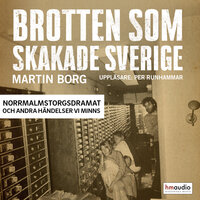 Brotten som skakade Sverige. Norrmalmstorgsdramat och andra händelser vi minns - Martin Borg