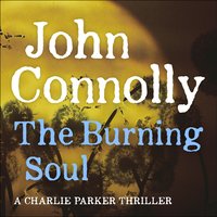 The Burning Soul: A Charlie Parker Thriller: 10 - John Connolly