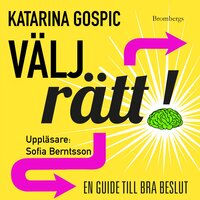 Välj rätt! : en guide till bra beslut - Katarina Gospic