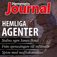 Hemliga agenter - Henrik Holst, Johan G. Rystad, Hemmets Journal