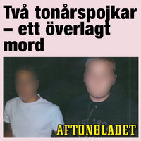 Två tonårspojkar - ett överlagt mord - Aftonbladet