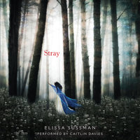 Stray - Elissa Sussman