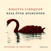 Resa över avgrunden - Birgitta Lindqvist