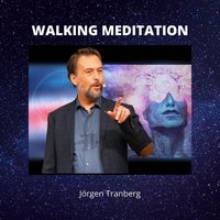 Walking Meditation- 7 olika medvetenhetsnivåer i följd under en 7 dagars period - Jörgen Tranberg