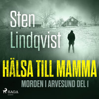 Hälsa till mamma - Sten Lindqvist
