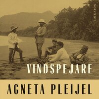 Vindspejare : boken om Abel målaren - Agneta Pleijel