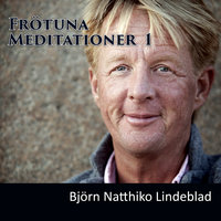 Frötuna Meditationer 1 - Björn Natthiko Lindeblad