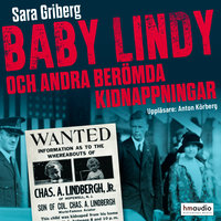 Baby Lindy och andra berömda kidnappningar - Sara Griberg