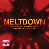Meltdown: Nuclear disaster and the human cost of going critical - Joel Levy
