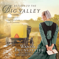 Return to the Big Valley - Jean Brunstetter, Richelle Brunstetter, Wanda E Brunstetter
