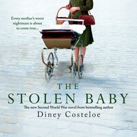 The Stolen Baby - Diney Costeloe