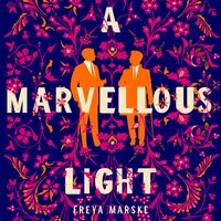 A Marvellous Light: a dazzling, queer romantic fantasy - Freya Marske