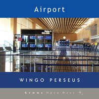 Airport (Unabridged) - Wingo Perseus
