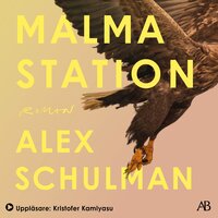 Malma station - Alex Schulman