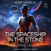 The Spaceship In The Stone - Igor Nikolic