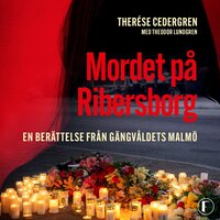 Mordet på Ribersborg : en berättelse från gängvåldets Malmö - Theodor Lundgren, Therése Cedergren