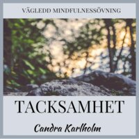 Tacksamhet: En vägledd mindfulnessmeditation - Candra Karlholm