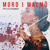 Mord i Malmö - Pär Bjelvehammar