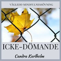 Icke-dömande: En vägledd mindfulnessmeditation - Candra Karlholm