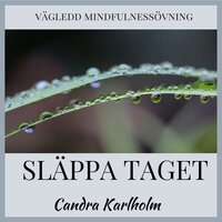 Släppa taget: En vägledd mindfulnessmeditation - Candra Karlholm