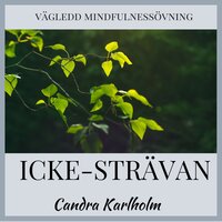 Icke-strävan: En vägledd mindfulnessmeditation - Candra Karlholm