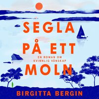 Segla på ett moln - Birgitta Bergin