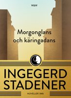 Morgonglans och käringadans : noveller - Ingegerd Stadener