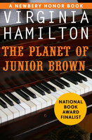 The Planet of Junior Brown - Virginia Hamilton