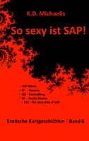 So sexy ist SAP! Band 6: Erotische Kurzgeschichten von und über SAP-User und SAP-Berater - K. D. Michaelis, Alex, Ralf, Ronny